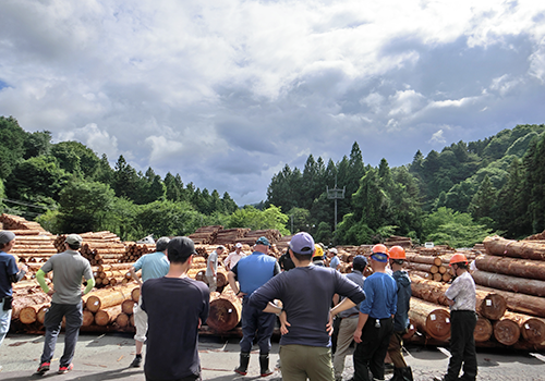 視察・研修例